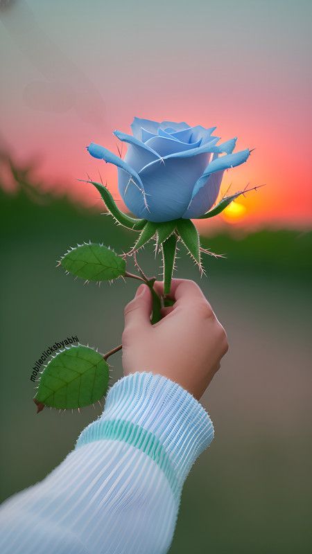 Instagram dp creative photography